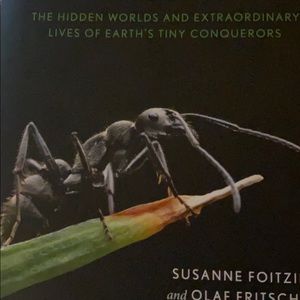 Meet your Posher, Ant